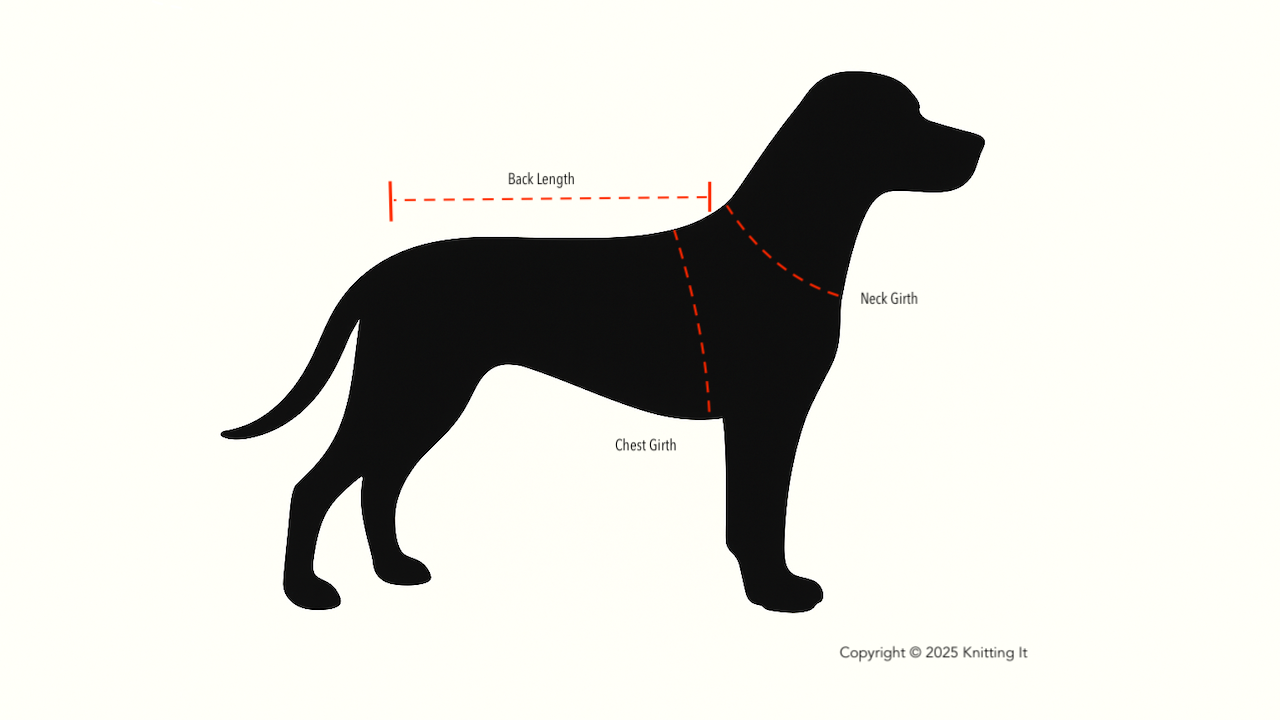 Black drawing of a dog with neck girth, chest girth, and back length marked with red dotted line